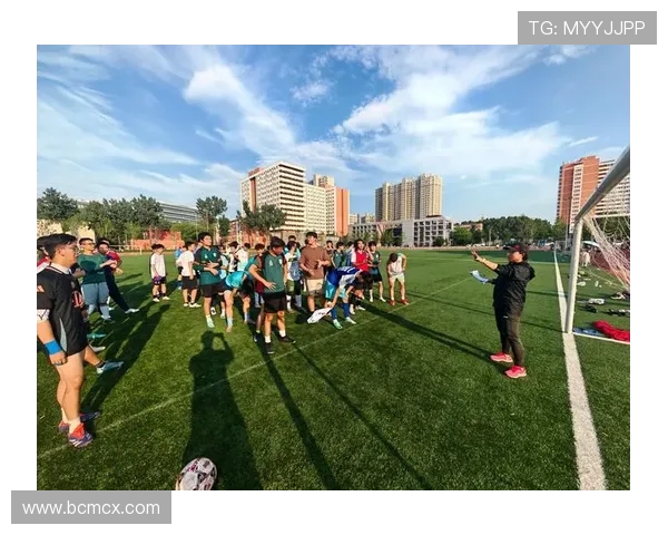 绿茵逐梦激情碰撞世界强队共谱荣耀篇章