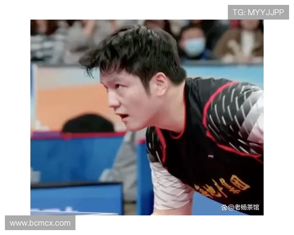 上海乒乓球队技术争议引发热议球迷专家各抒己见探讨未来发展方向
