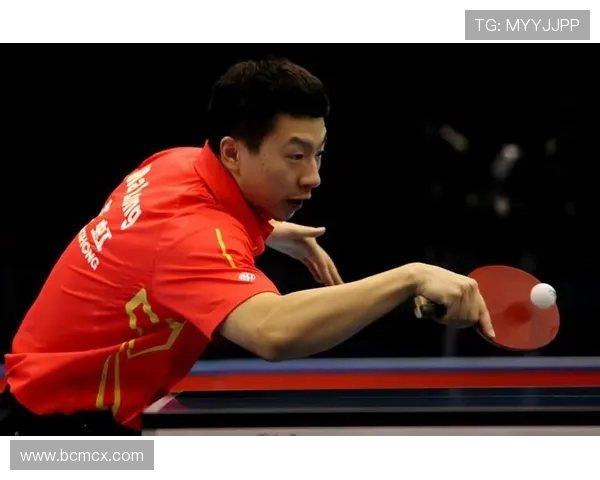 张磊专访：从青涩少年到乒乓球冠军的奋斗与成长之路