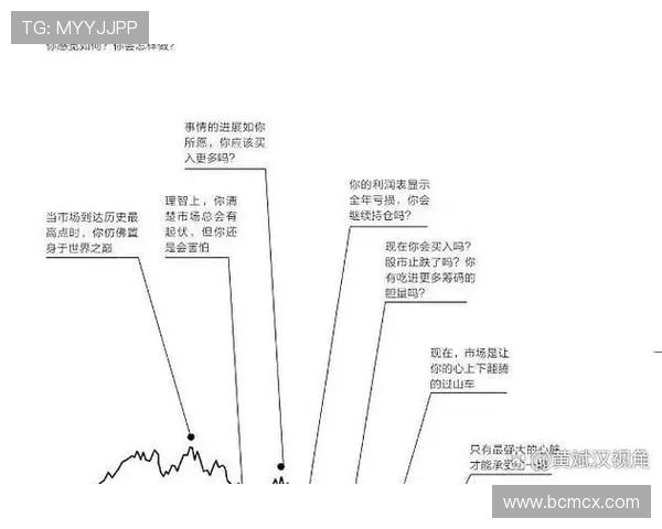 王娜专访：探索足球成功背后的秘密与经验分享