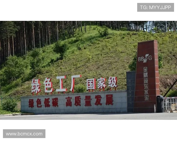 重庆篮球队进攻革新之路探索与展望全面解析球队战术变革与未来发展