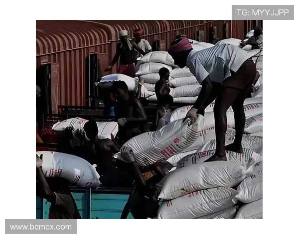 南特与尼奥尔激战正酣谁能在这场较量中笑到最后 南特与尼奥尔激战正酣谁能在这场较量中笑到最后